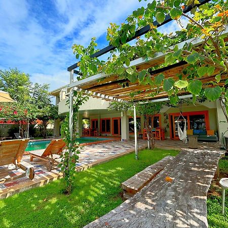 Royal Palm Retreat Διαμέρισμα Cabrera Εξωτερικό φωτογραφία