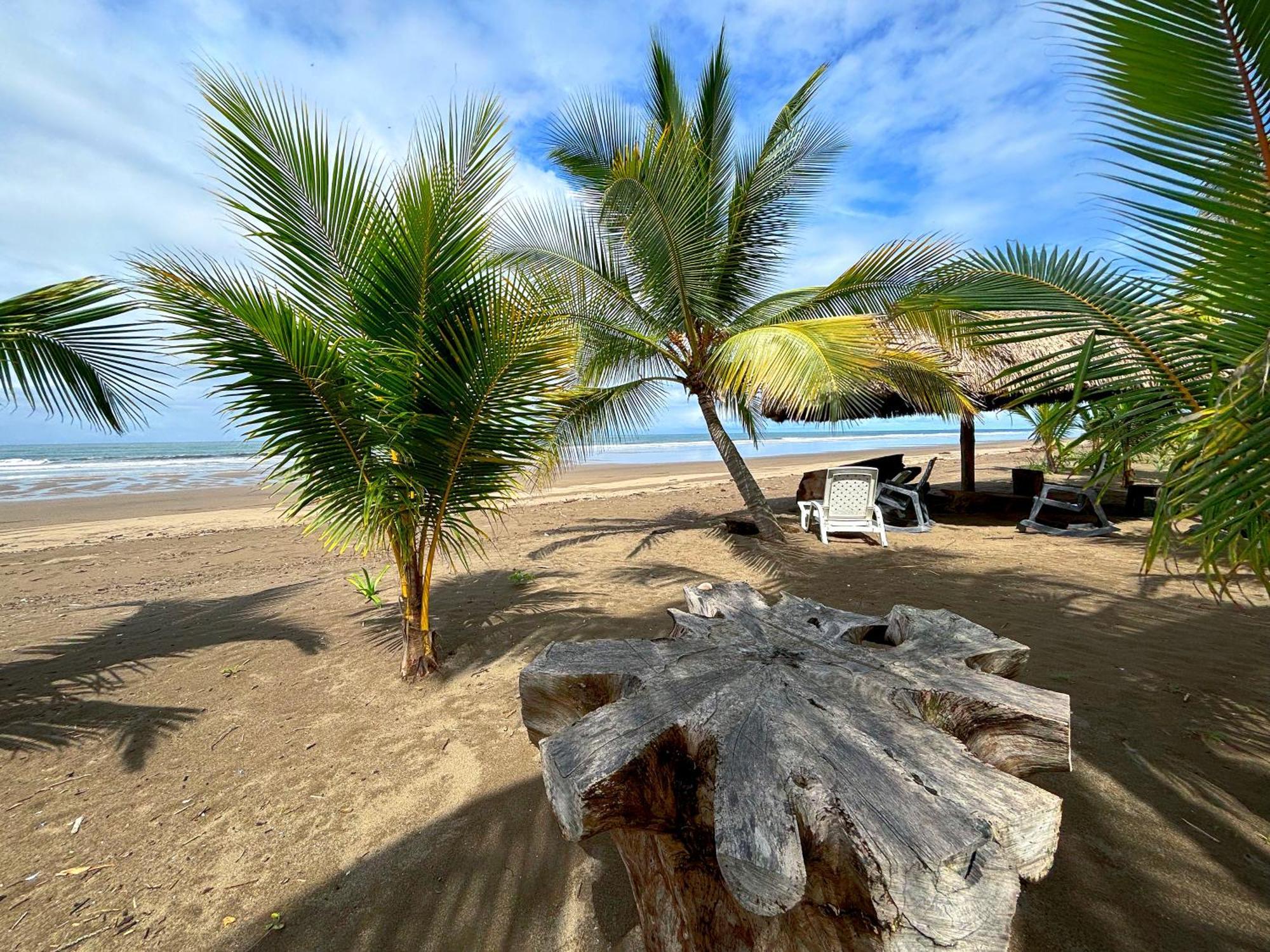 Royal Palm Retreat Διαμέρισμα Cabrera Εξωτερικό φωτογραφία